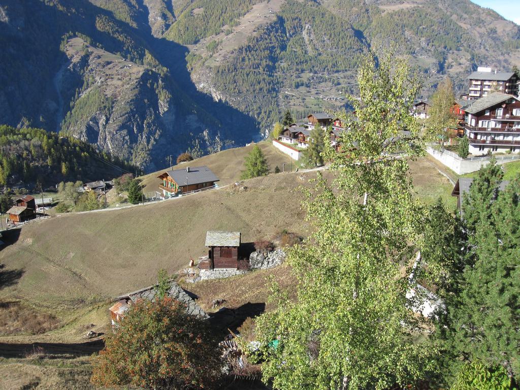 Haus Waldheim Grachen Διαμέρισμα Εξωτερικό φωτογραφία